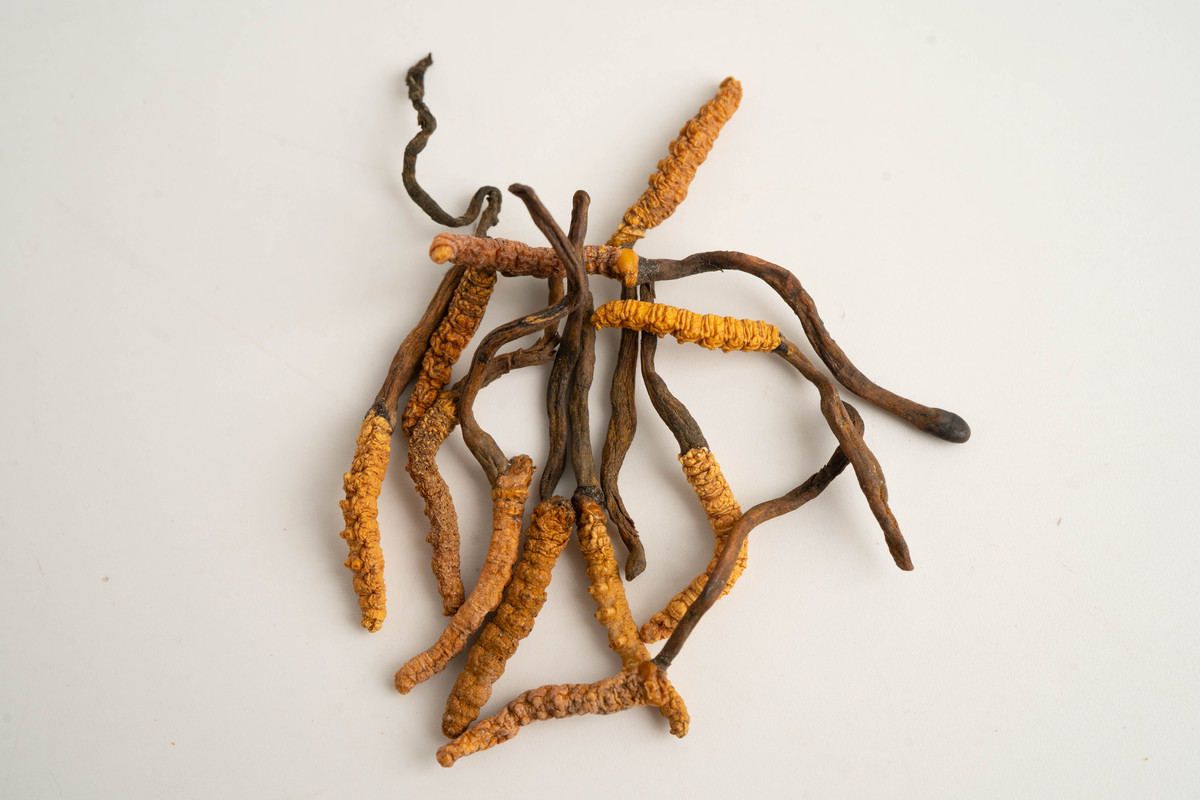 菊灵芝（欣舒宁）胶囊对男性前列腺健康有效吗？