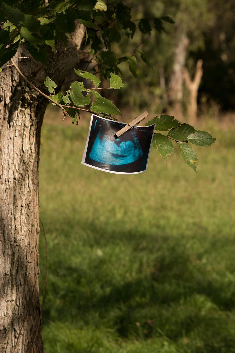 生态环境保护专业需要具备哪些知识