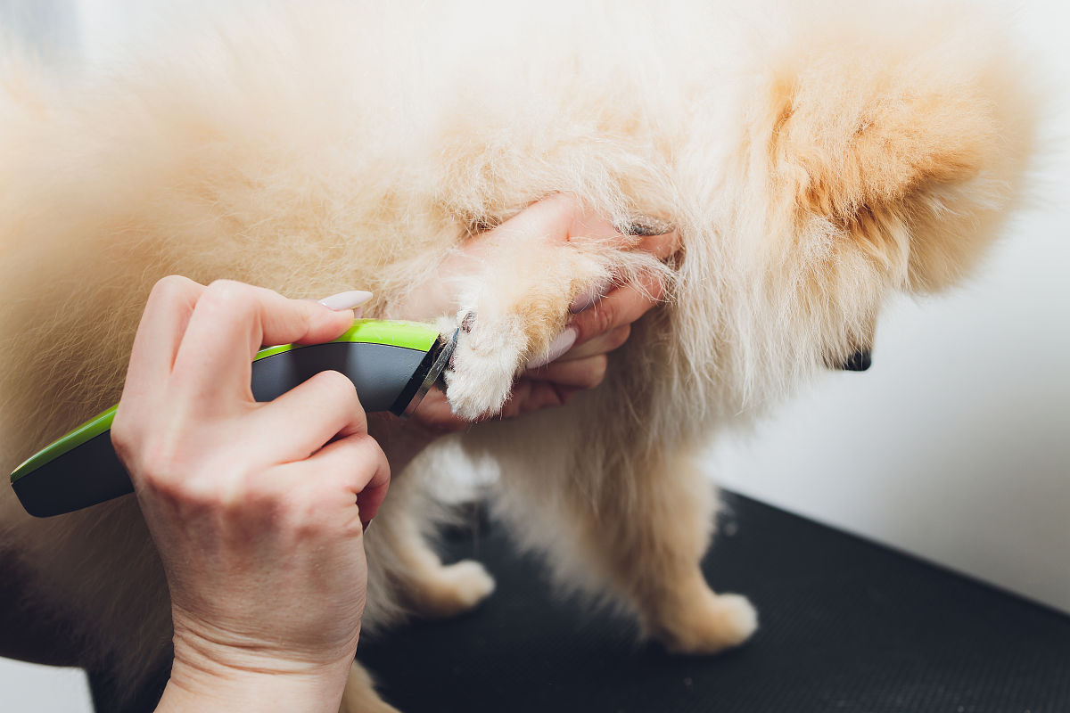 平遥县职业学校2022年招生简章