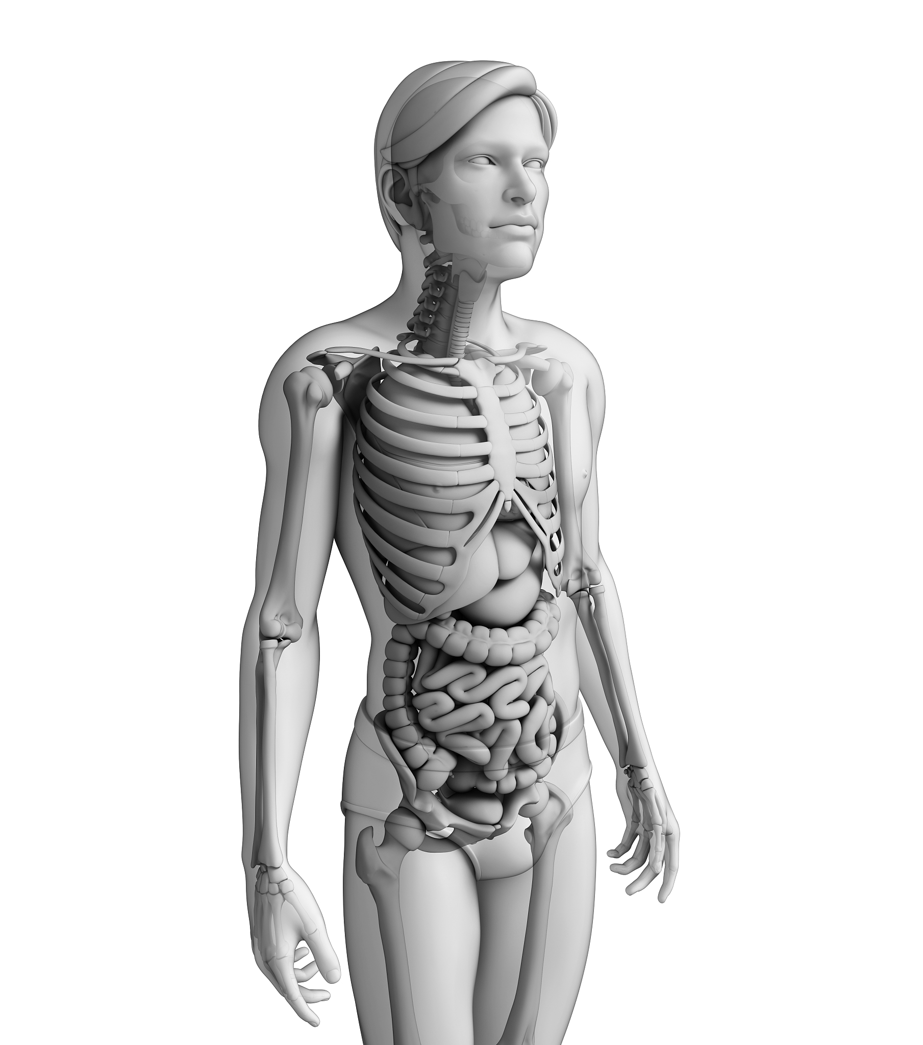 五脏六腑表里对应关系