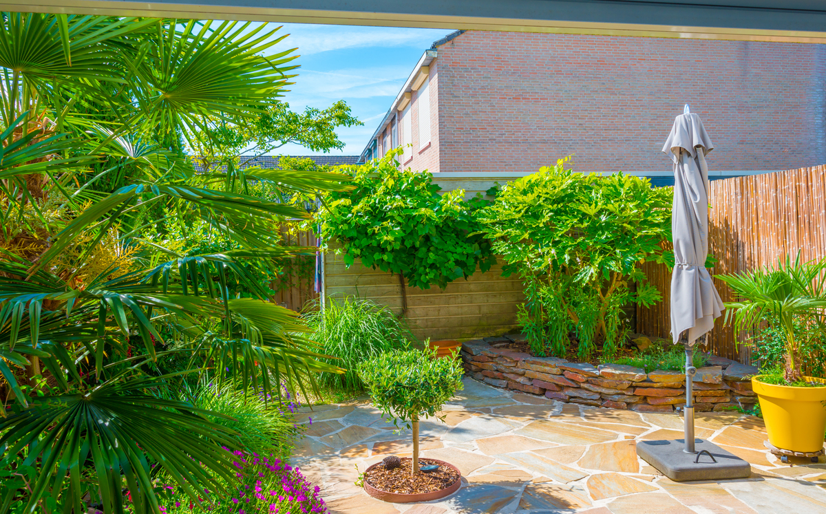 室内花园简写：indoor-garden