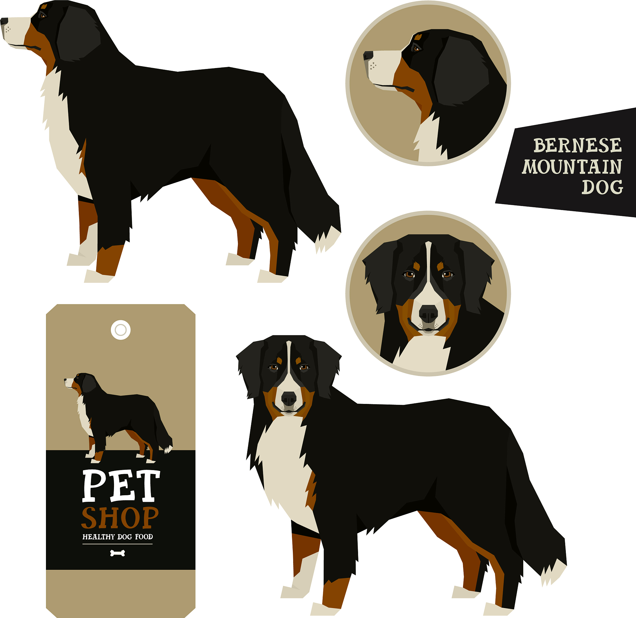 PPYOLOE Plus CRN Model for Dog Detection - 80 Epochs