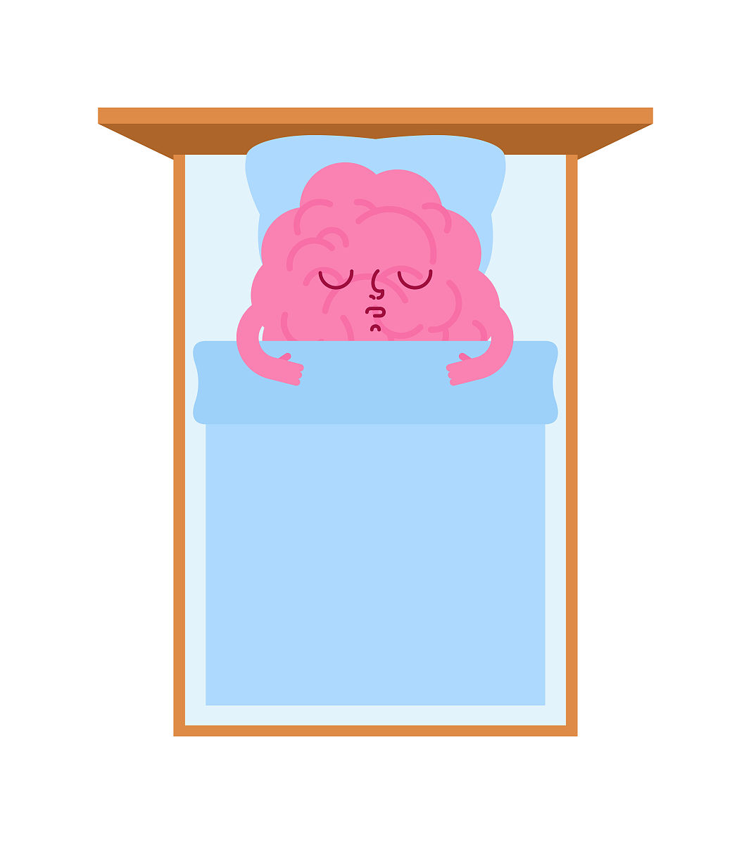 梦从什么时候开始？科学与文化的解读