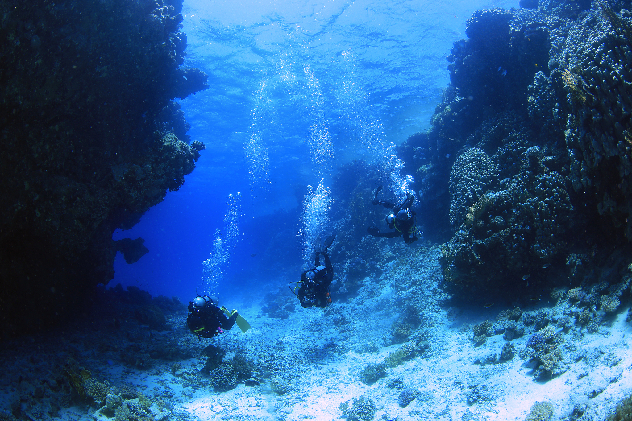 three scuba divers underwater