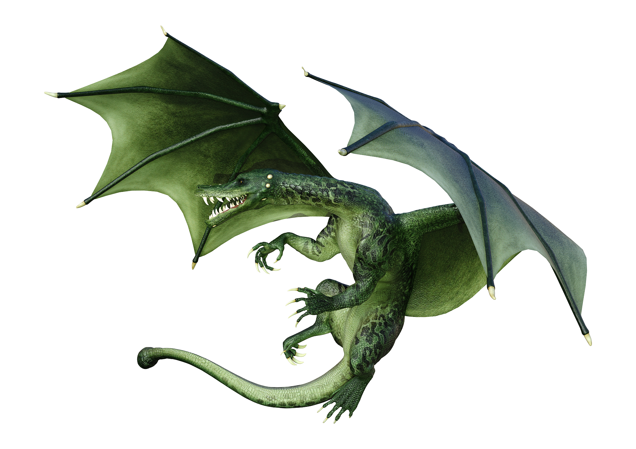 3d illustration fantasy dragon on white