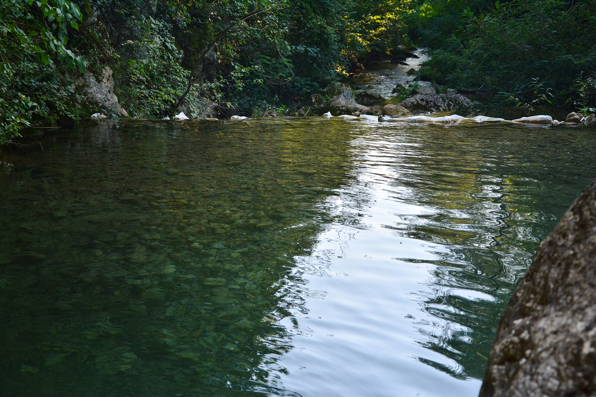 little pond on a river