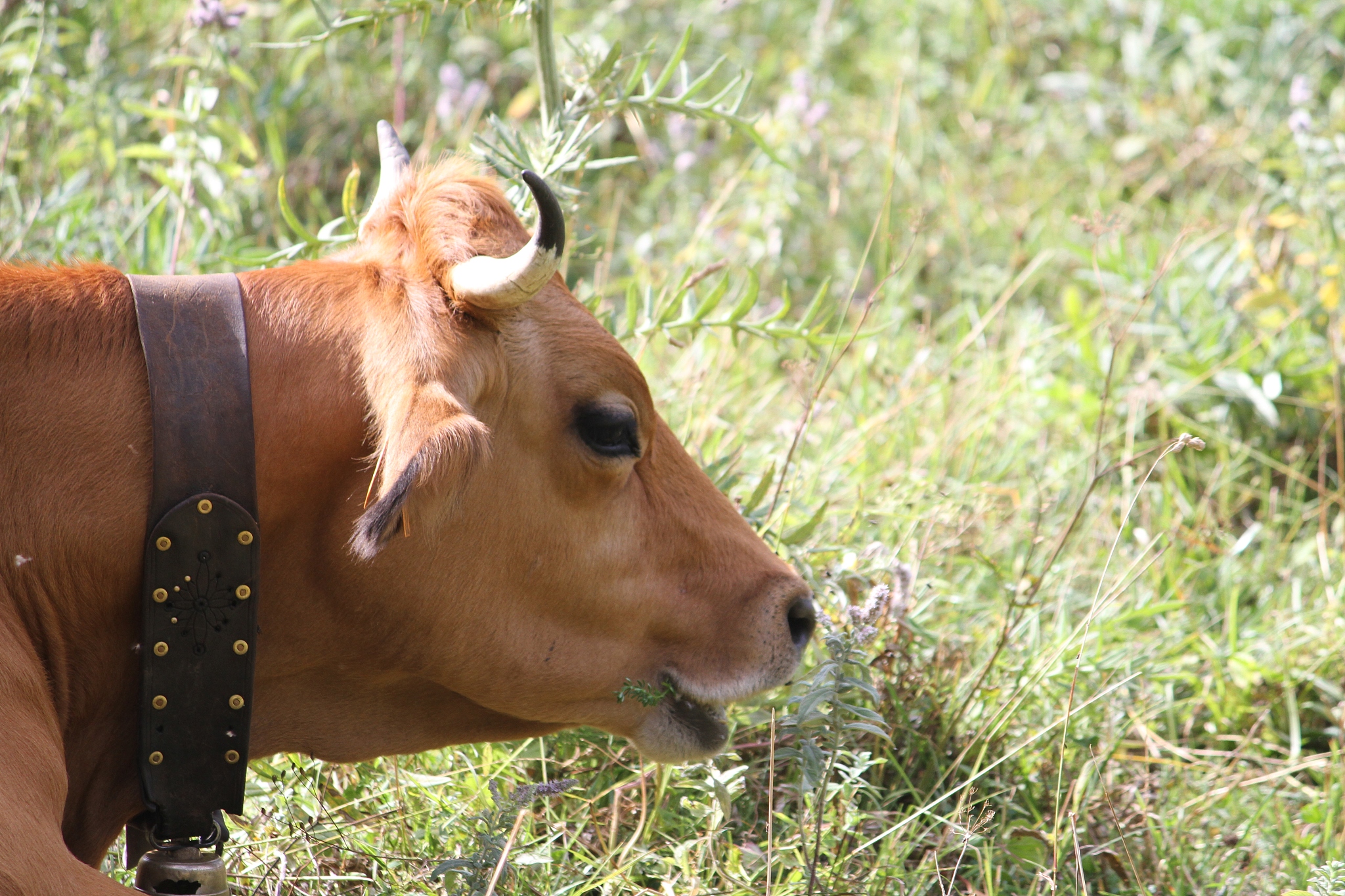 营口市农业工程学校2022年咨询电话多少？