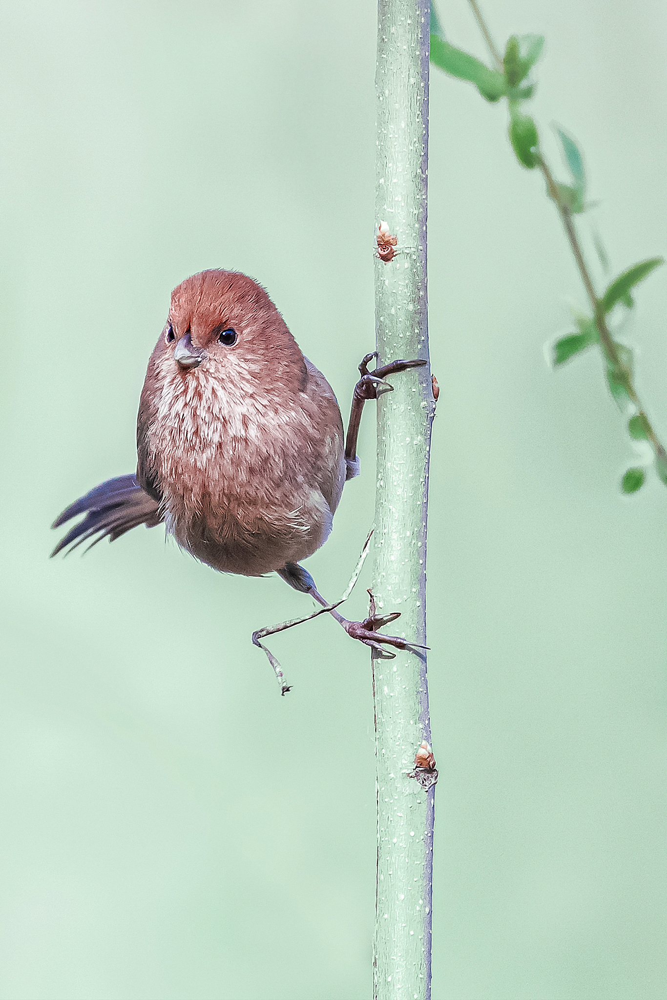 安徽新闻访谈节目名称创意：10个可爱又吸睛的名字