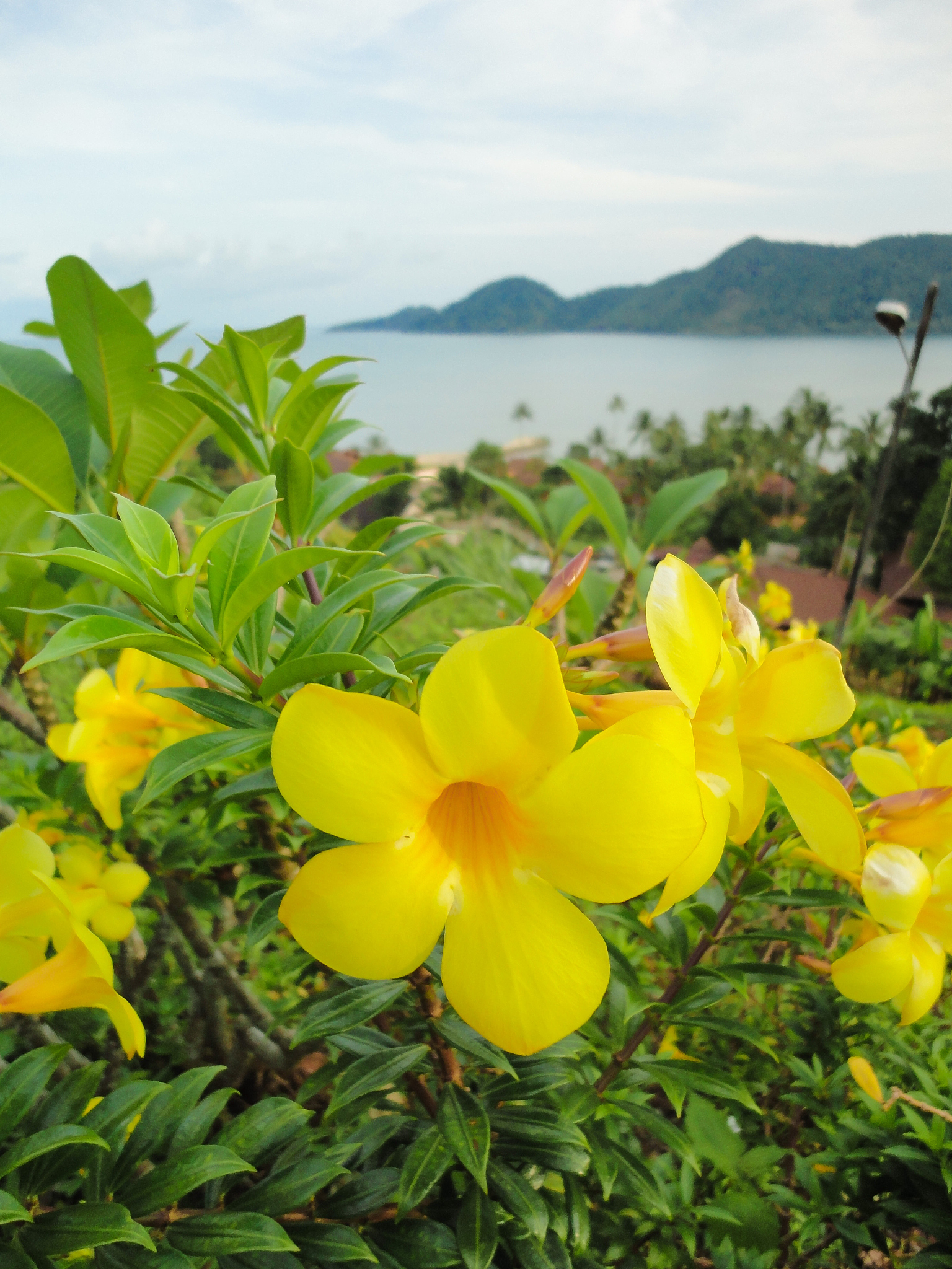 CI 字母组合能组成哪些单词？完整列表