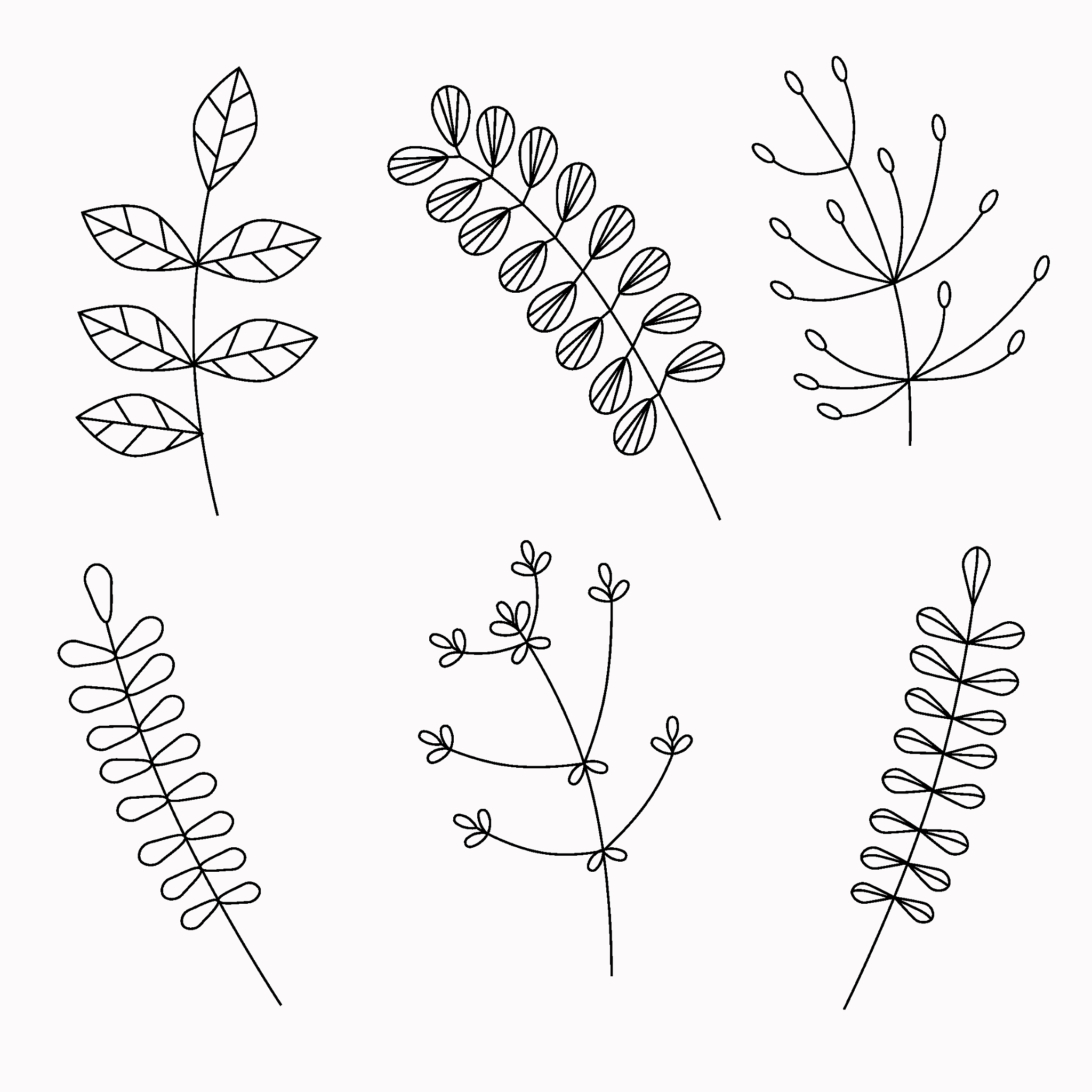 什么是植物表型