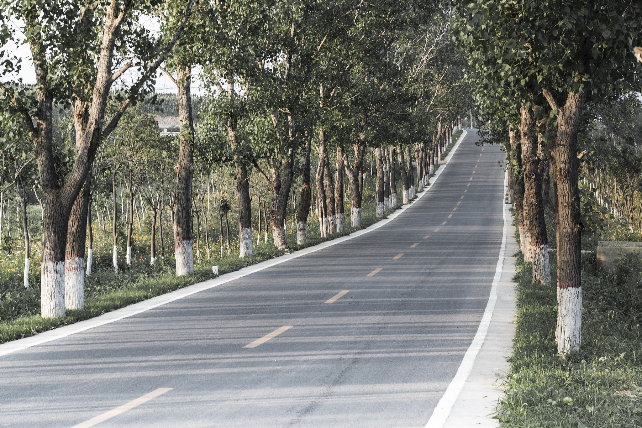 'E起向山海，青春共实践'大学生暑期社会实践立项创意大赛：国情社情调研主题活动方案