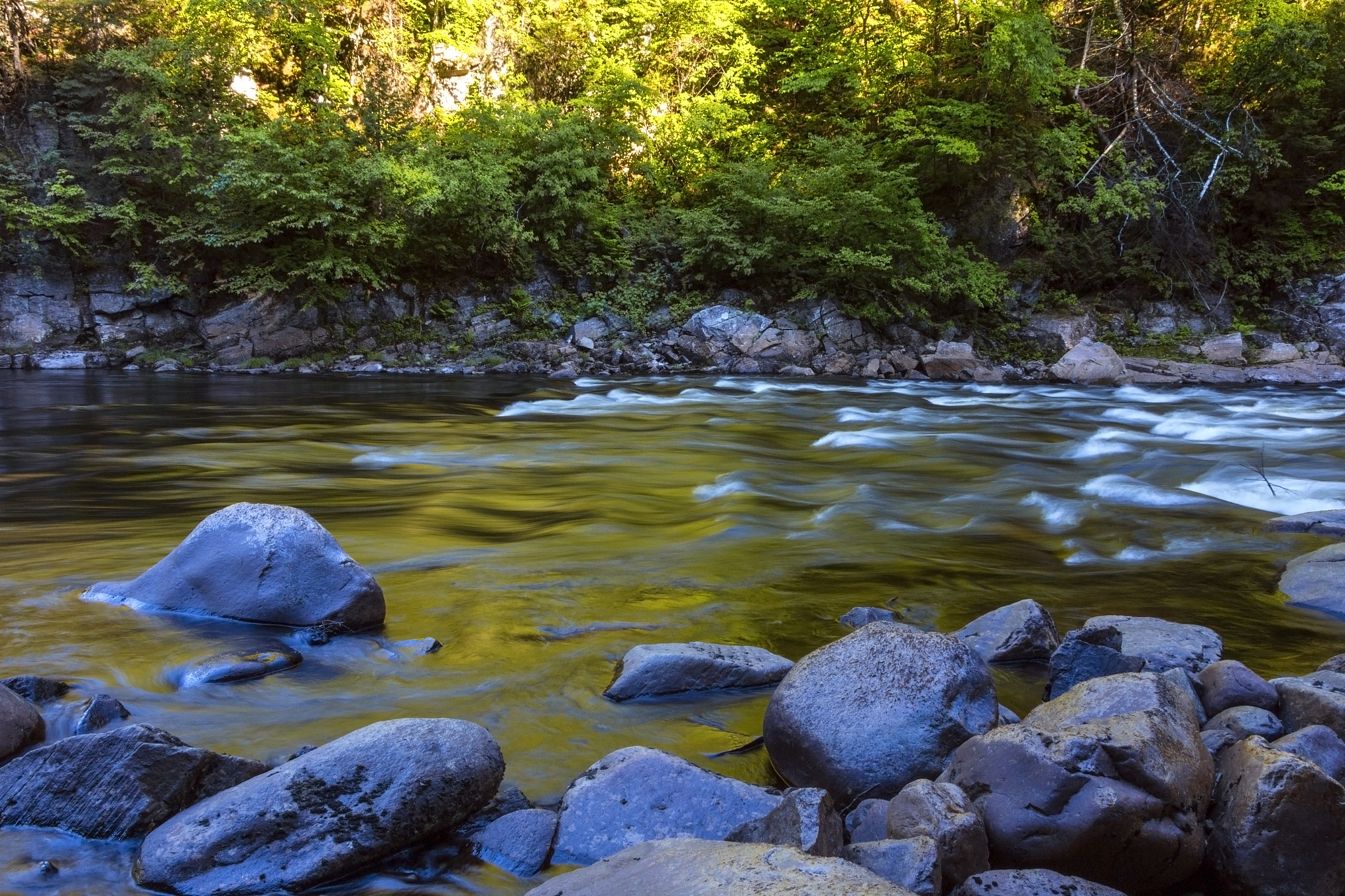 德州哪里可以学到专业的的摄影技术？