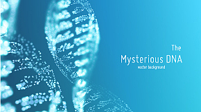 BIOCHEMISTR期刊: 生物化学研究与学术交流的国际平台