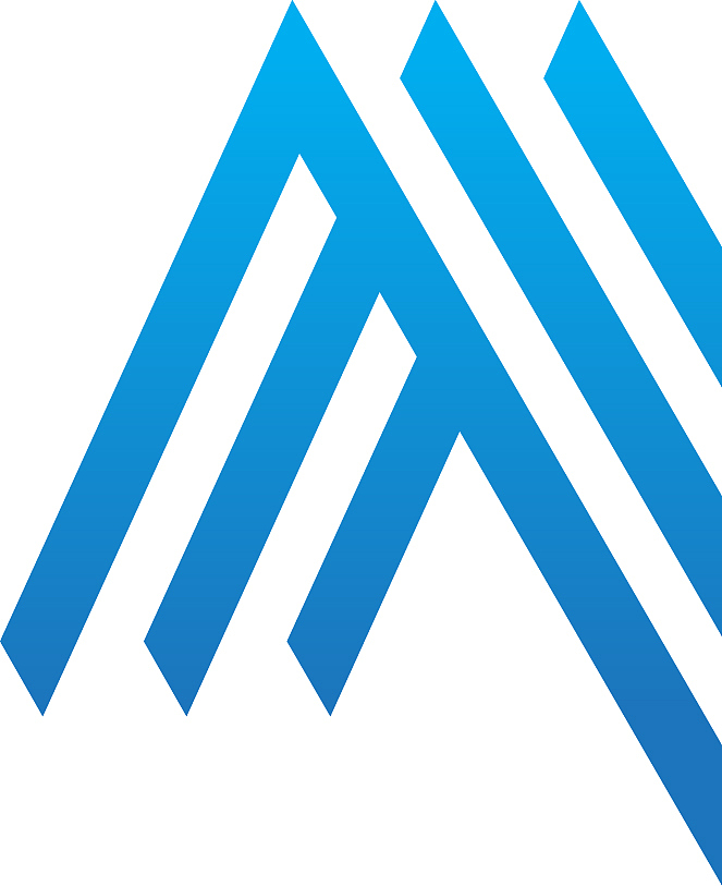 abstract shape line company logo