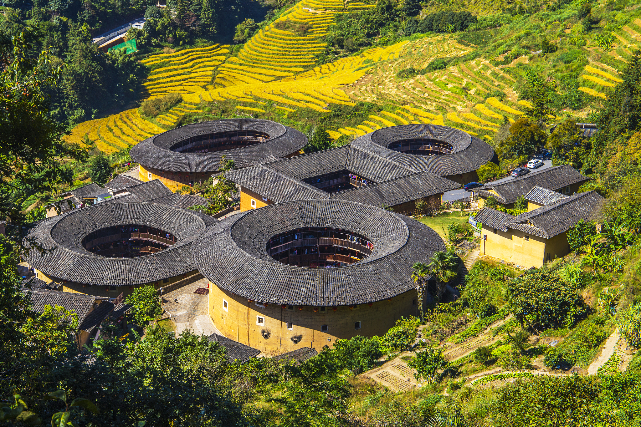 福建南靖土楼：建筑奇观与文化传承
