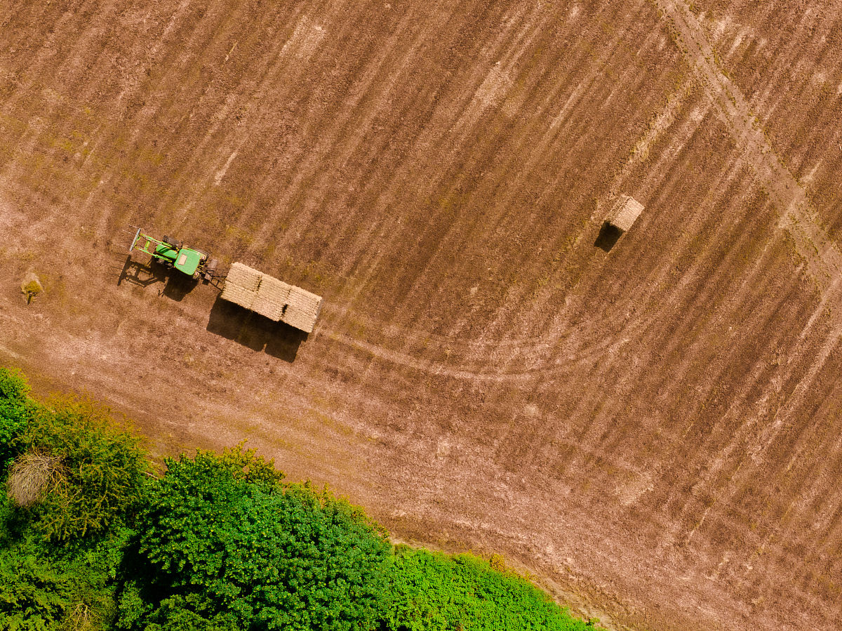 对黄土裸露区域铺植草坪减少水土流失