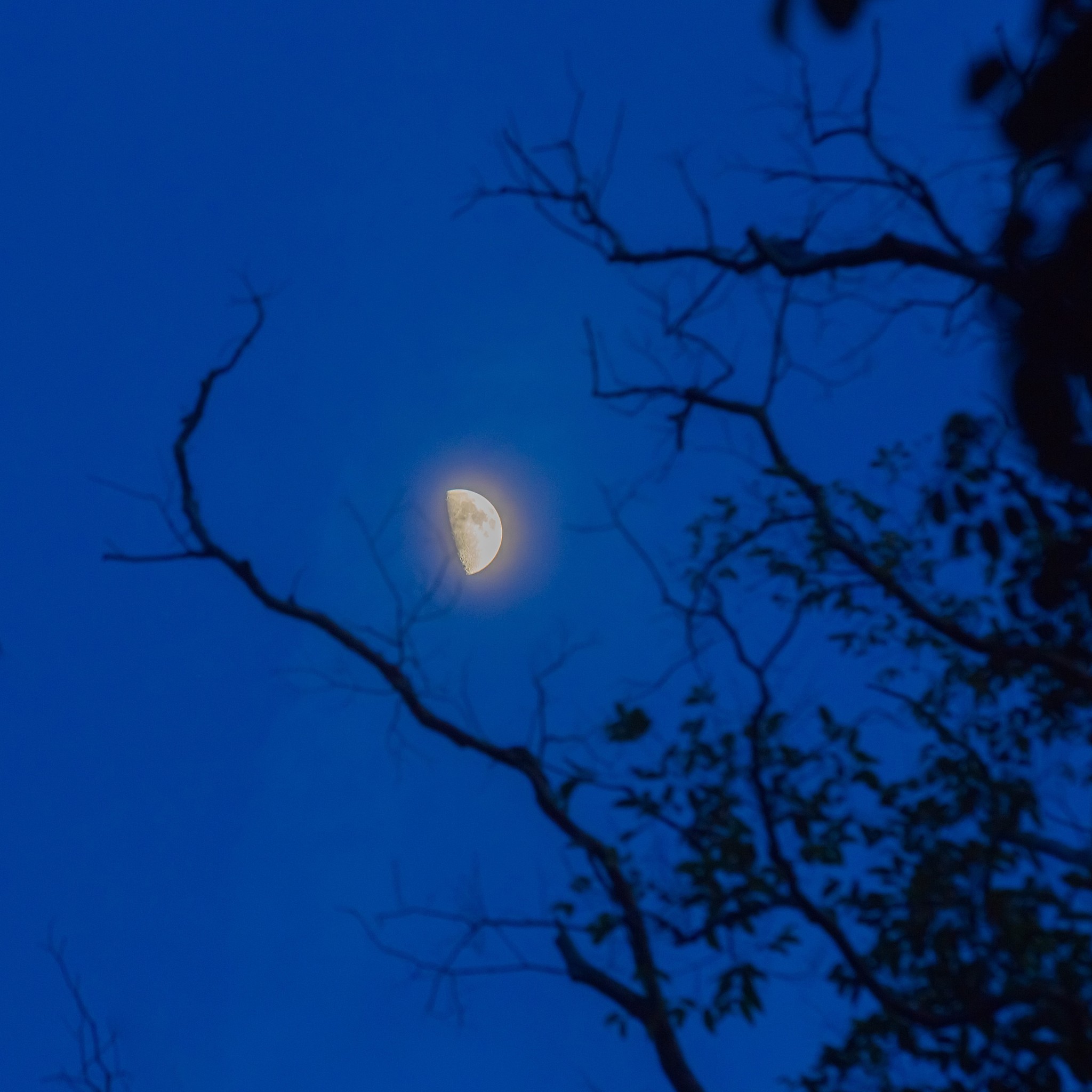 夜之俳句：月影星光，神秘之夜