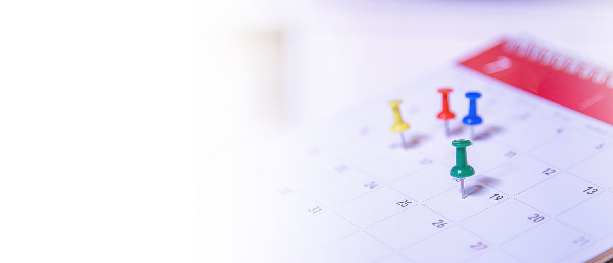 活动策划工作内容20字内：