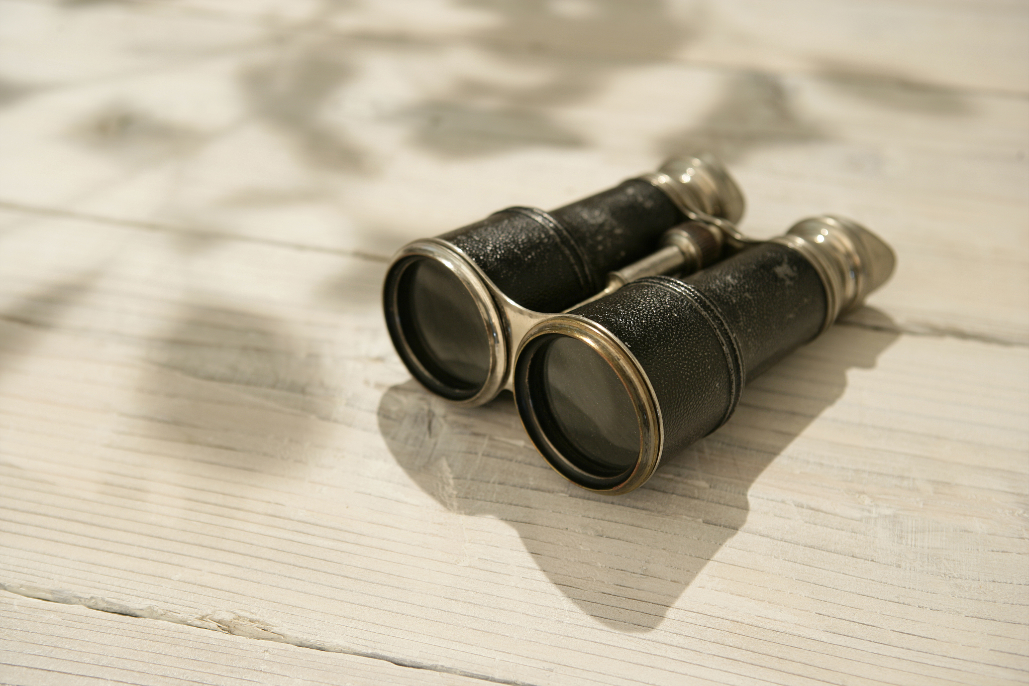 binoculars
