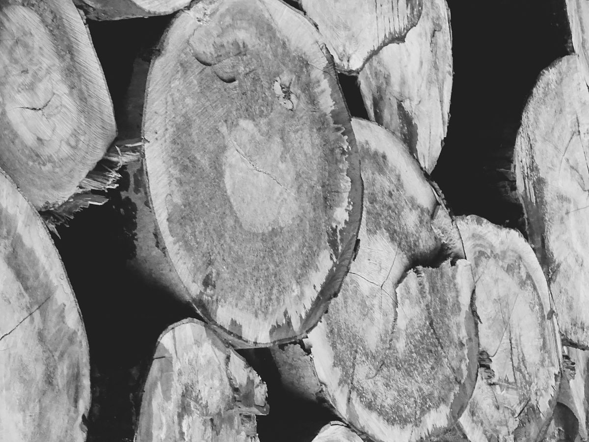 安全基线：构建安全网络与系统的基础