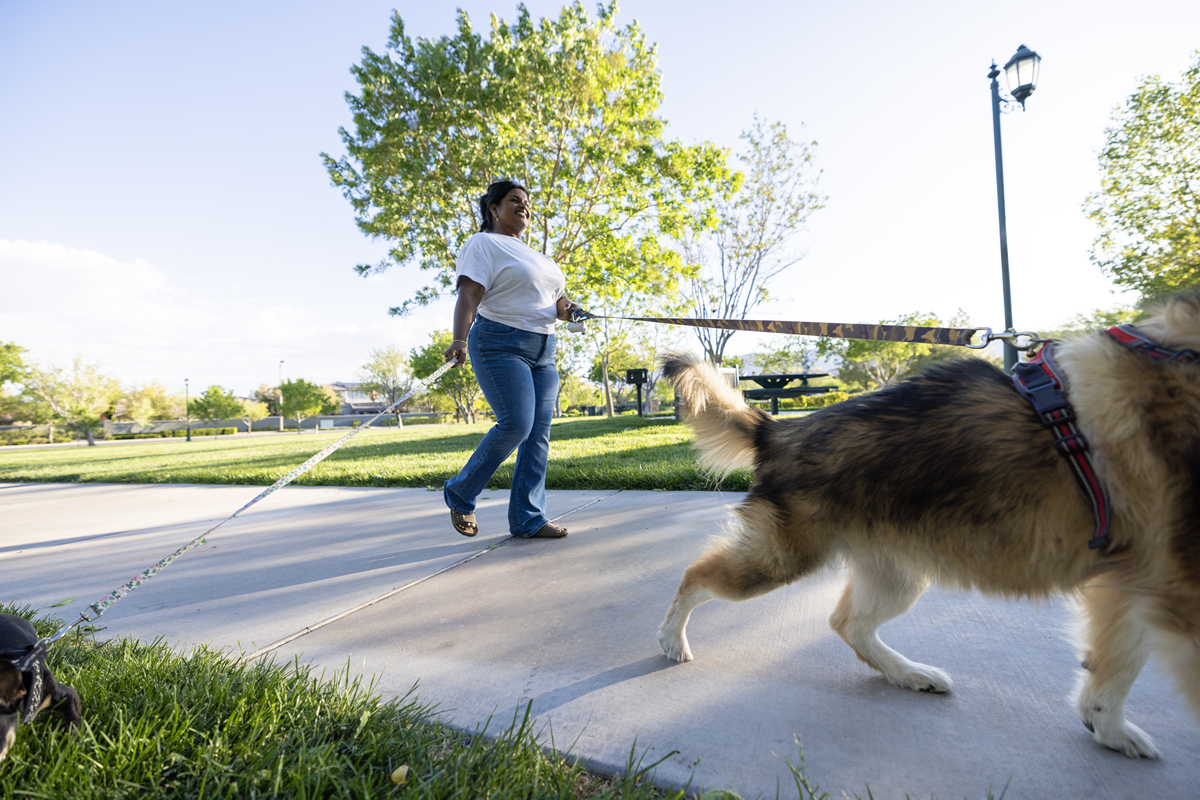 1200字关于遛狗把狗遛累是一种什么体验？