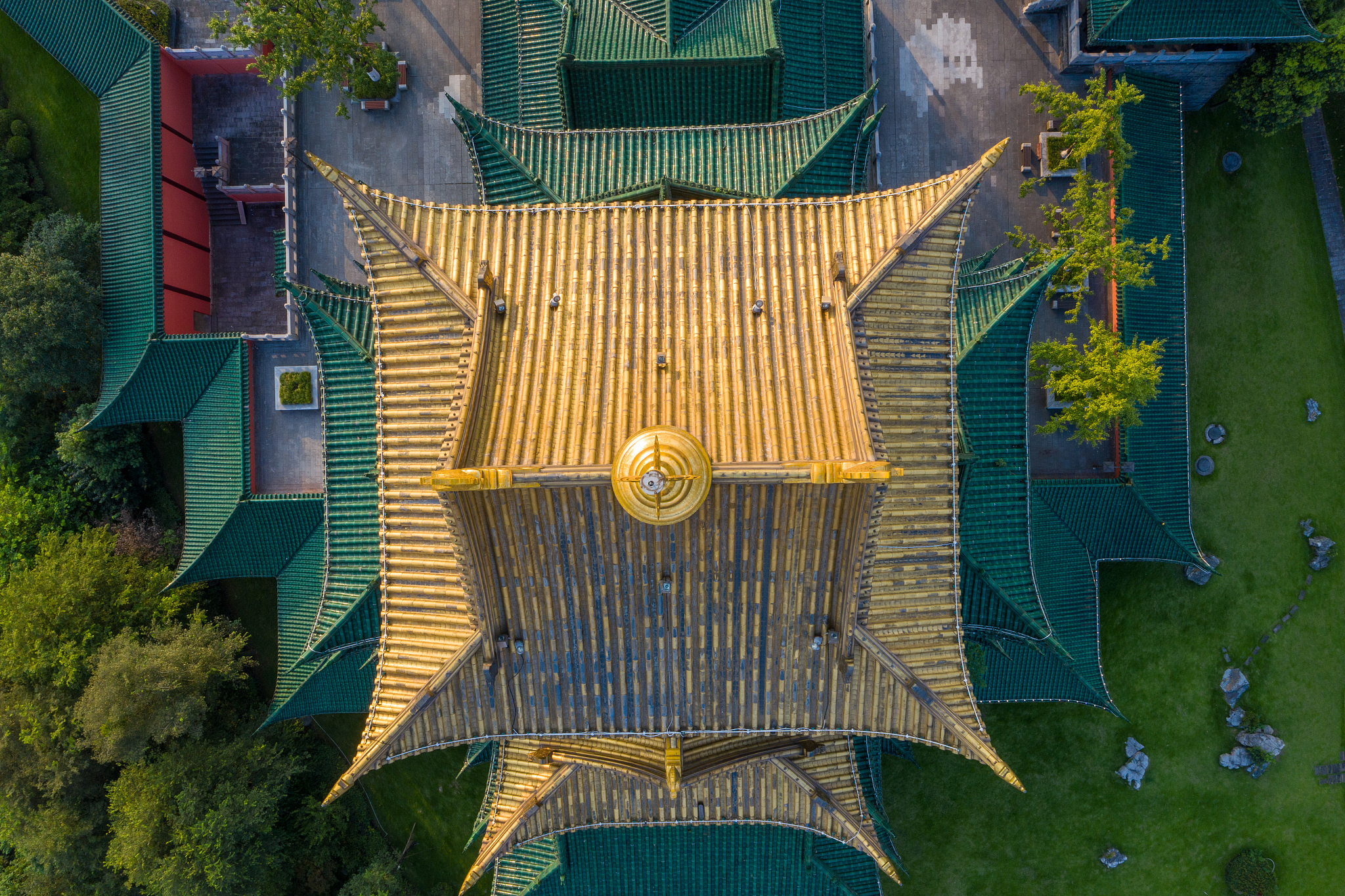 重庆应用技术职业学院早期教育专业课程设置有哪些