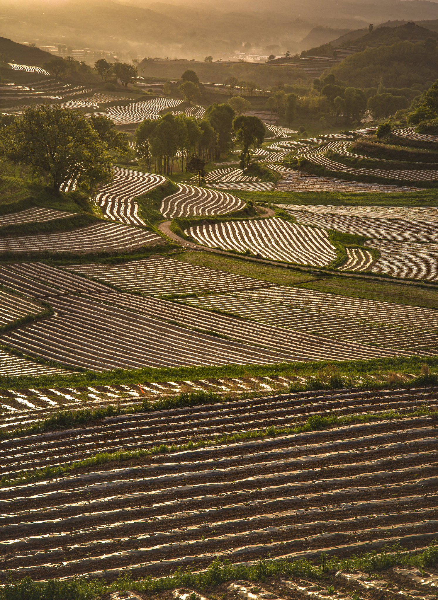 宝鸡中专学校排名：哪所学校最好？