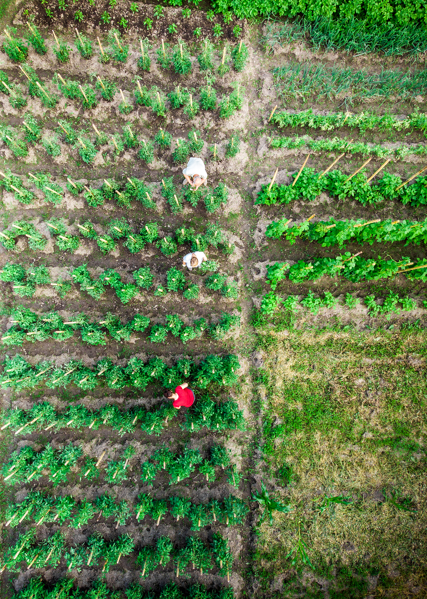贵州农业职业学院电子商务专业好就业吗