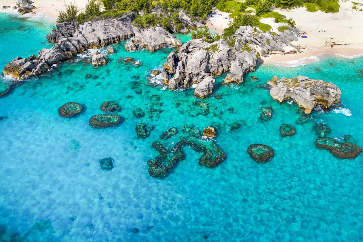 夏威夷潜水最佳地点推荐 | 探索水下世界