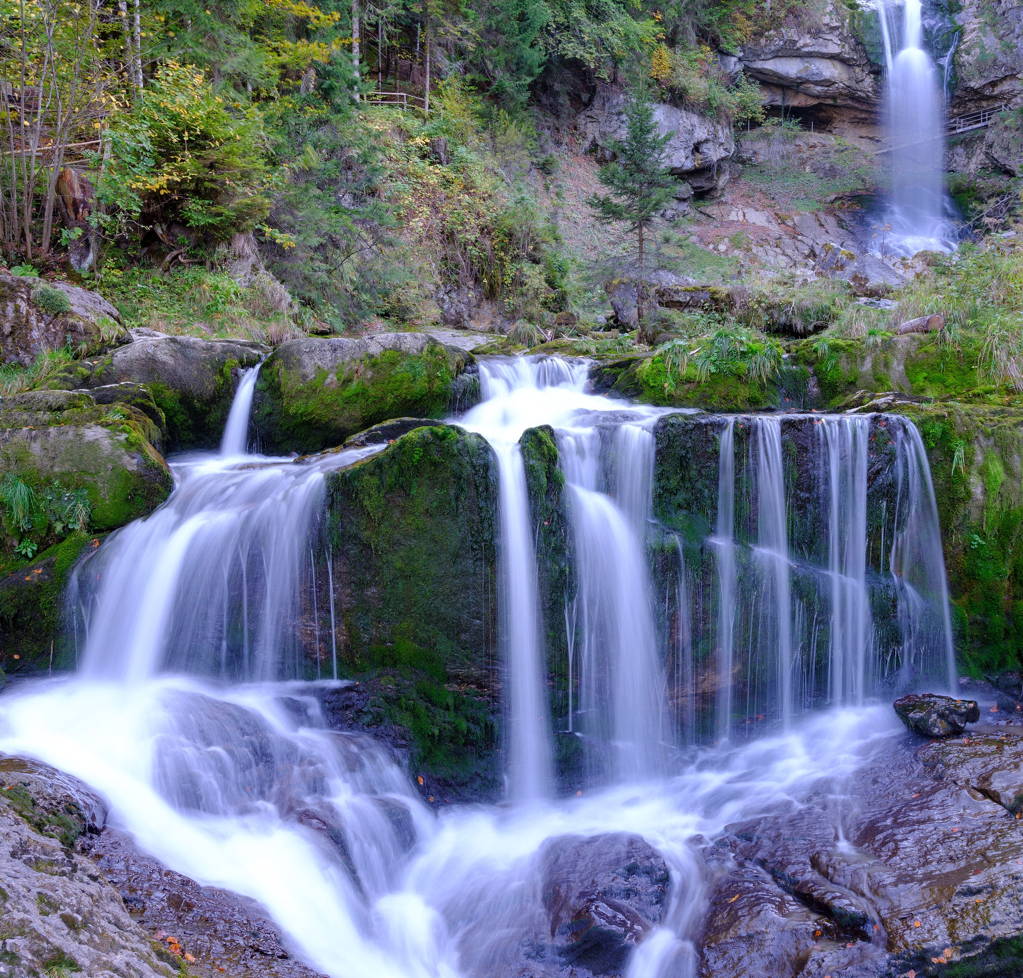 广州的媒体曝光平台有哪些广州媒体曝光求助热线是多少 要求：创建一篇500至1000字的解决方案
