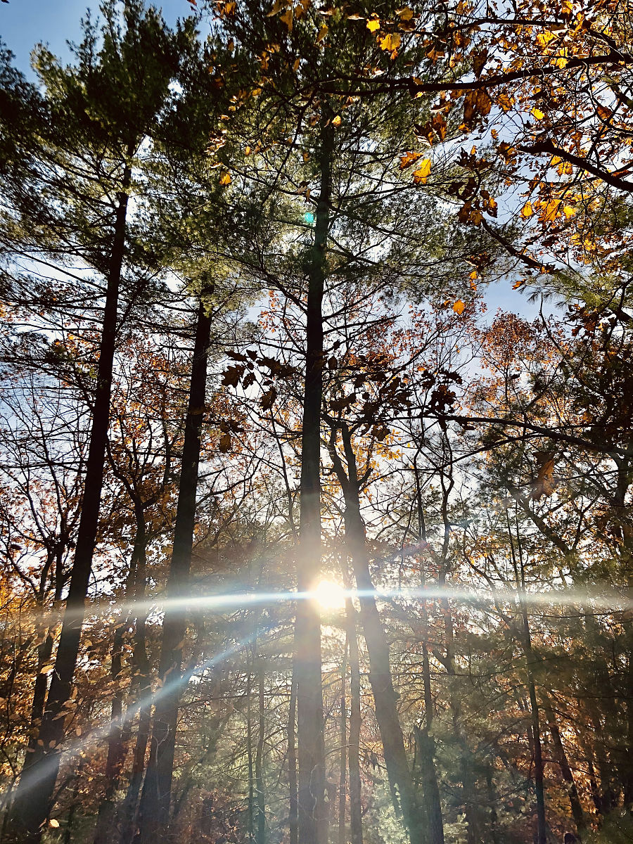 自然光有可能是人造光源吗