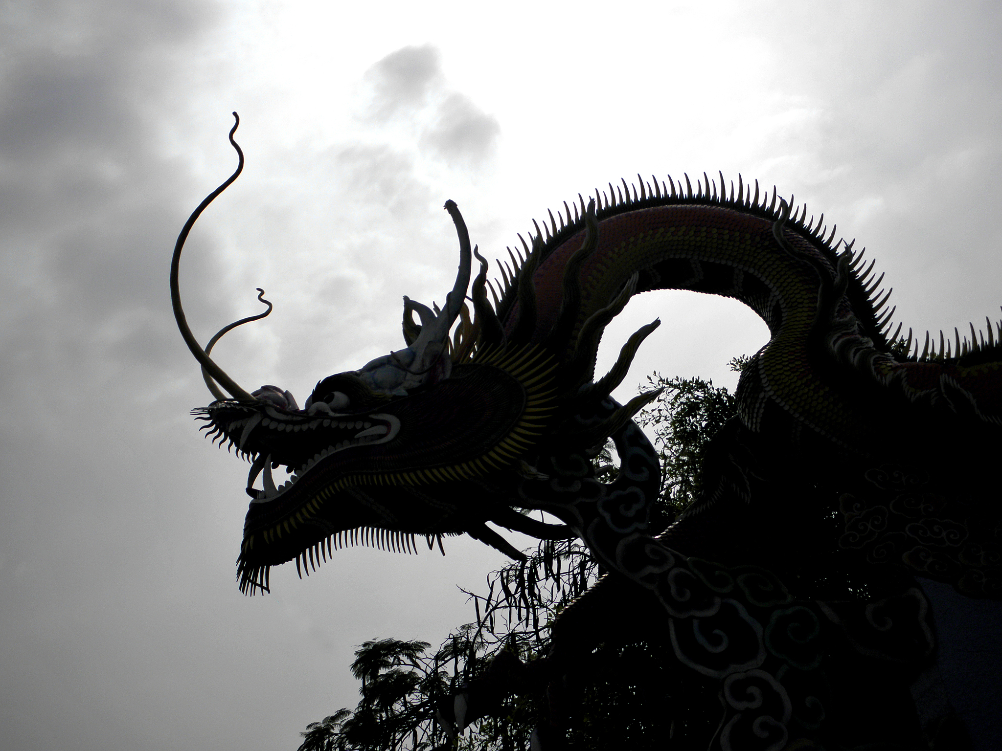 chinese dragon silhouette