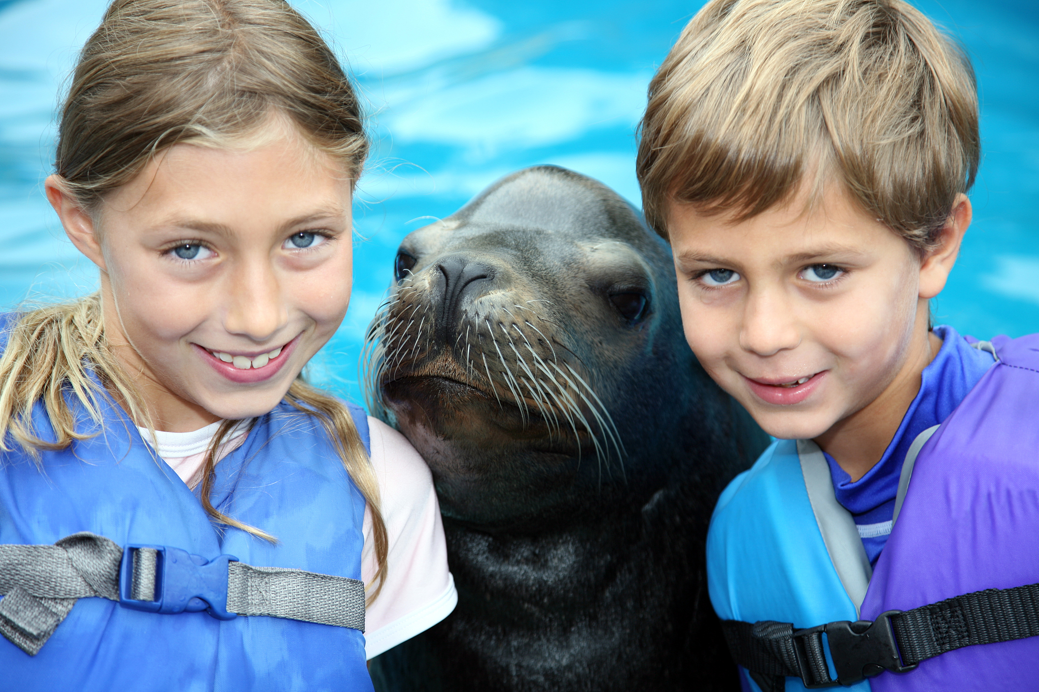 great adventure kids in swimming pool playing sea lion zoo