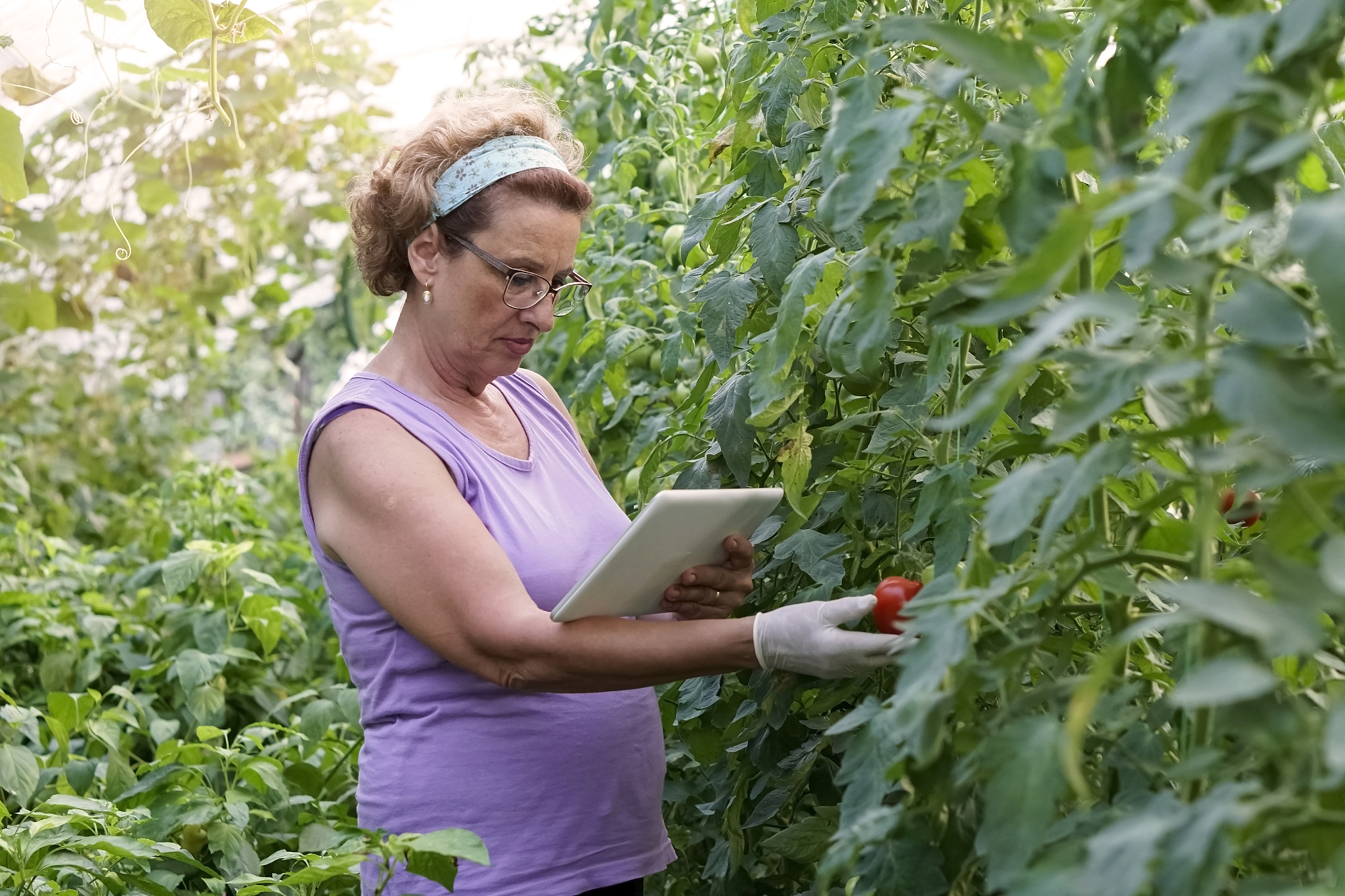 重庆农业学校计算机网络技术专业怎么样？教学水平全面解析