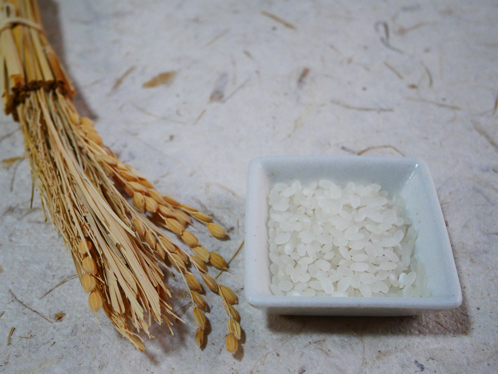 生大米会坏吗？保存方法大揭秘！