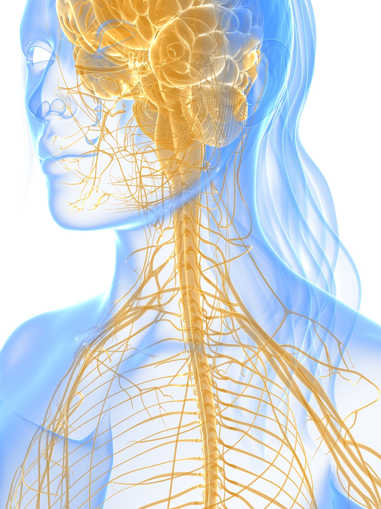 阴茎神经电生理检查异常：混合型和中枢型治疗方法