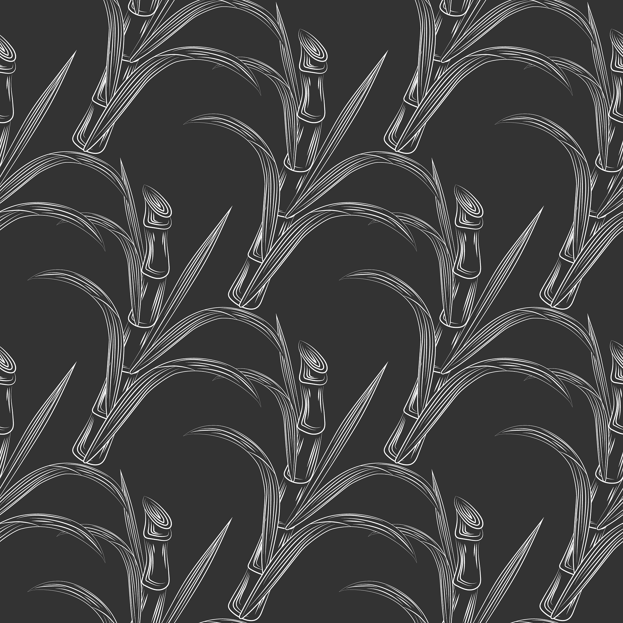 The Sweet History of Sugar: From Plantation to Plate