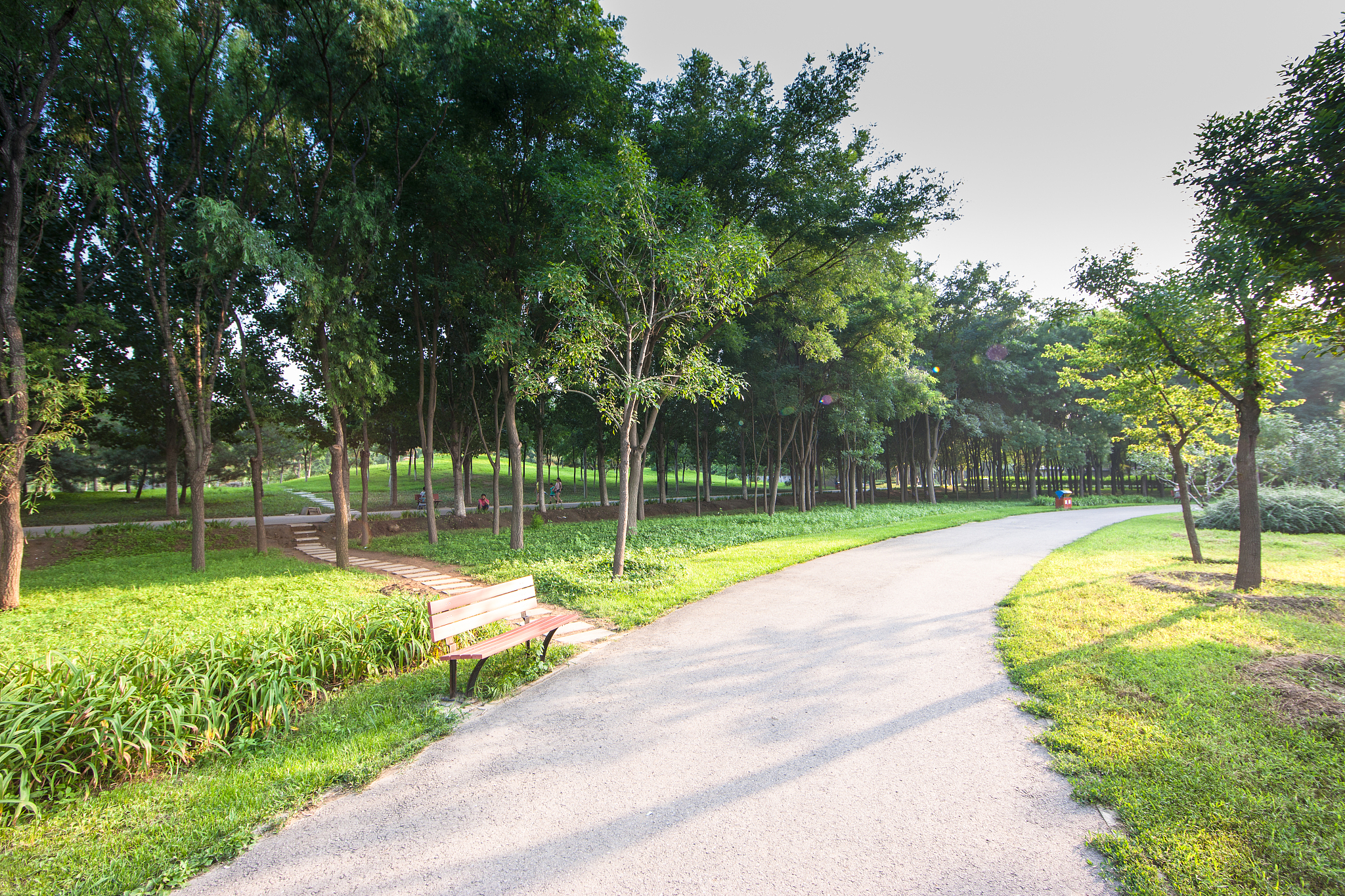 描述一下早上公园里的情景