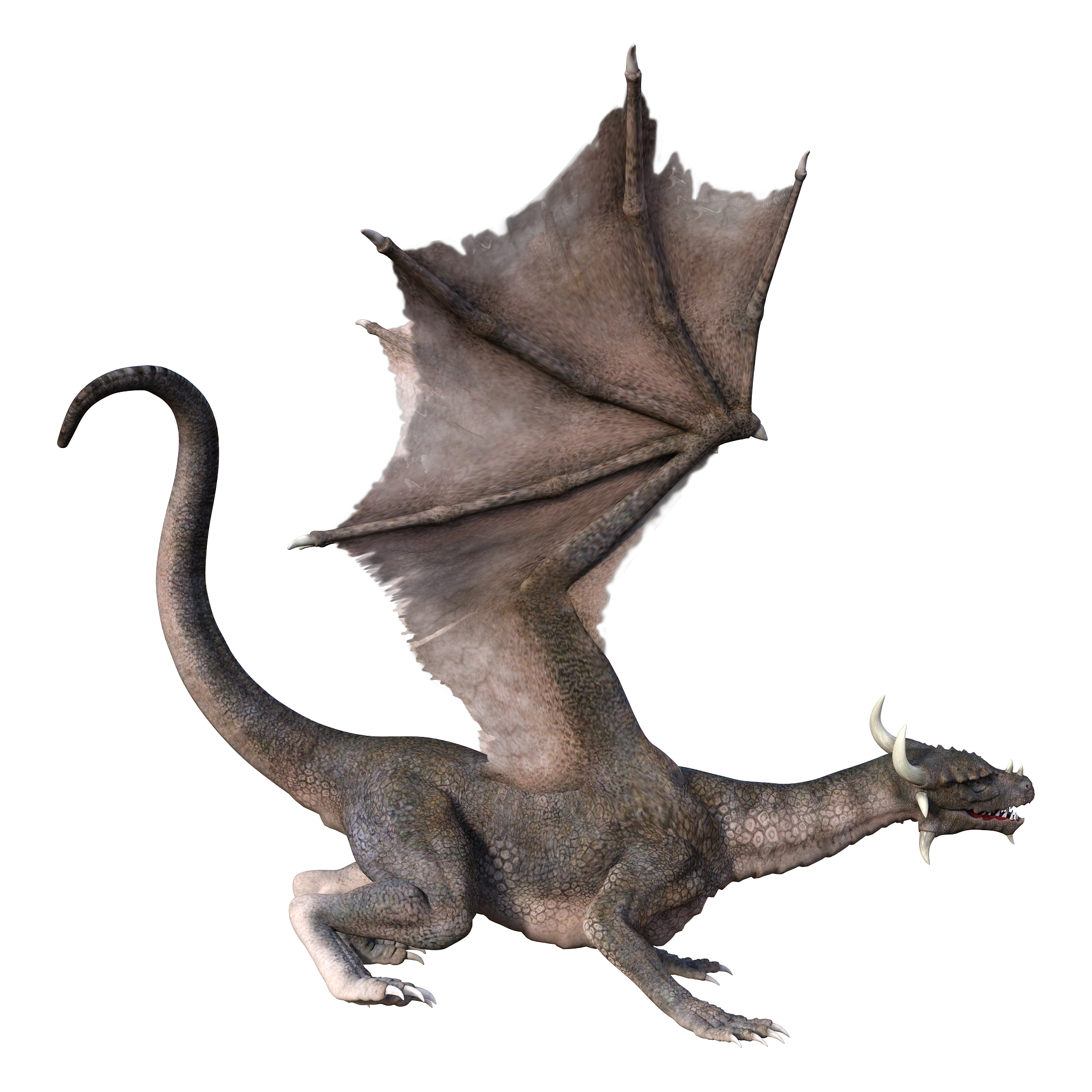3d illustration fantasy dragon on white