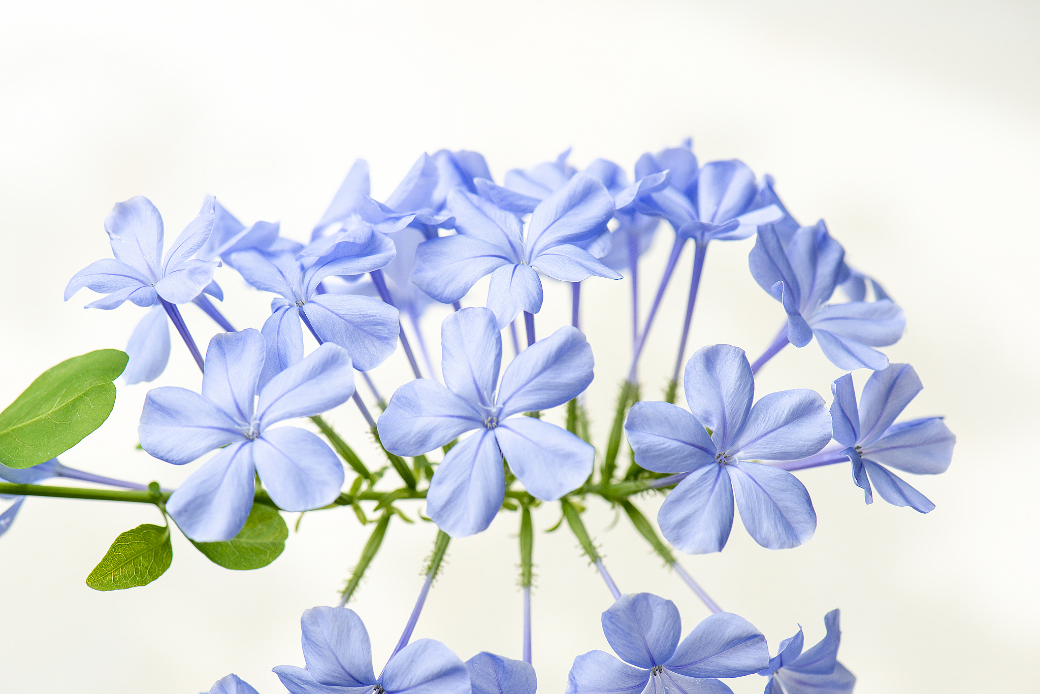 刘希然想修改一下，看起来更像女孩名，有什么好的建议，给我30个