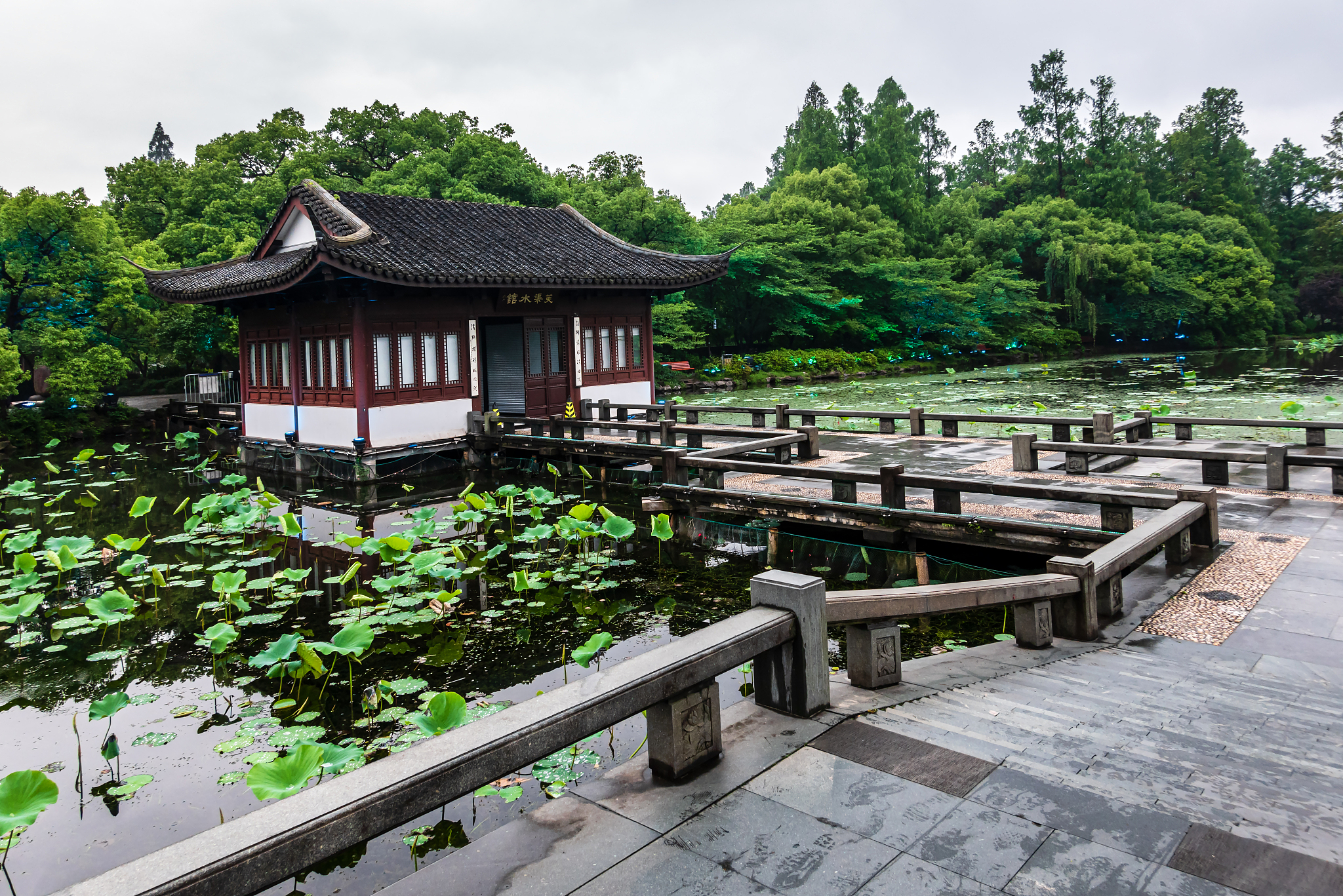 杭州西湖曲院风荷景点