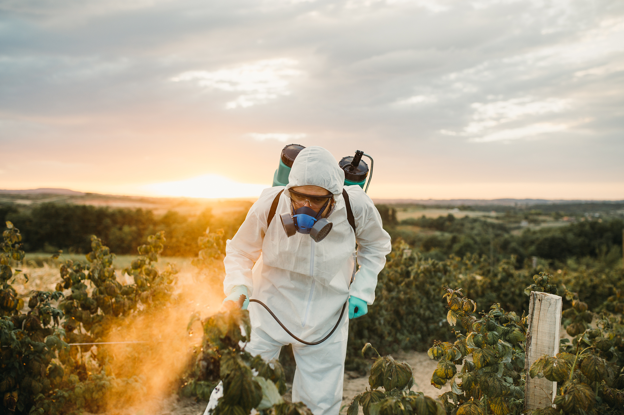 甘肃农业职业技术学院招生办电话及联系方式 - 联系电话、邮箱、地址