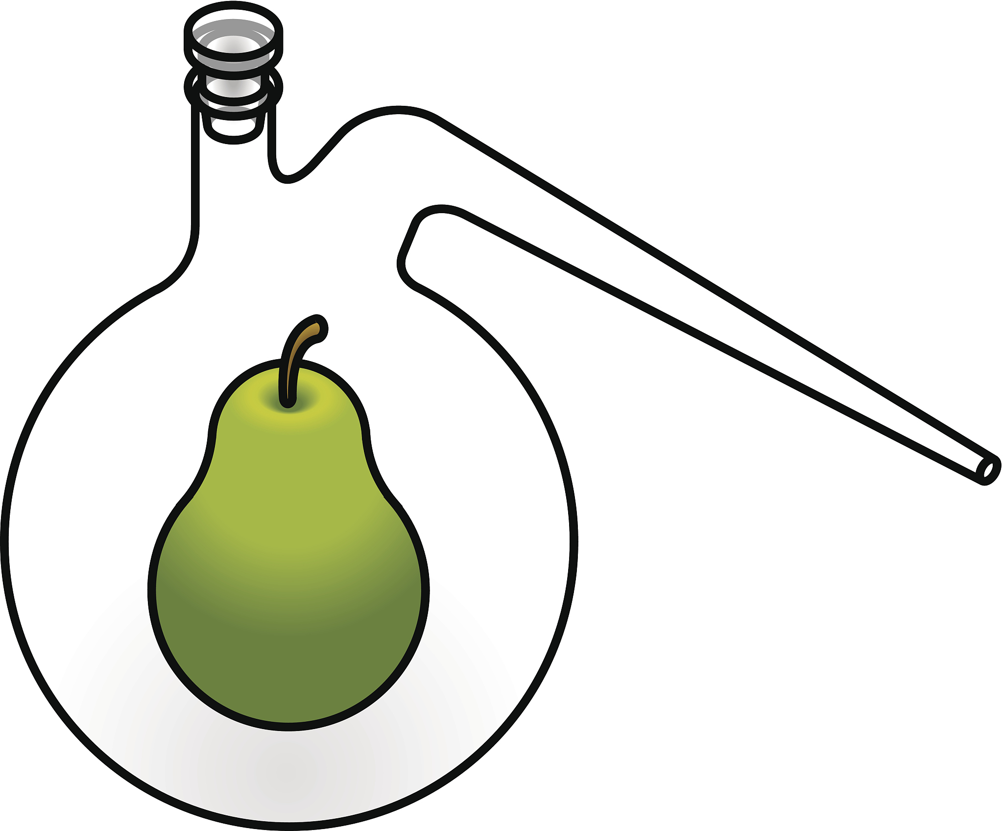 LWT-FOOD SCIENCE AND TECHNOLOGY 的稿件类型详细介绍