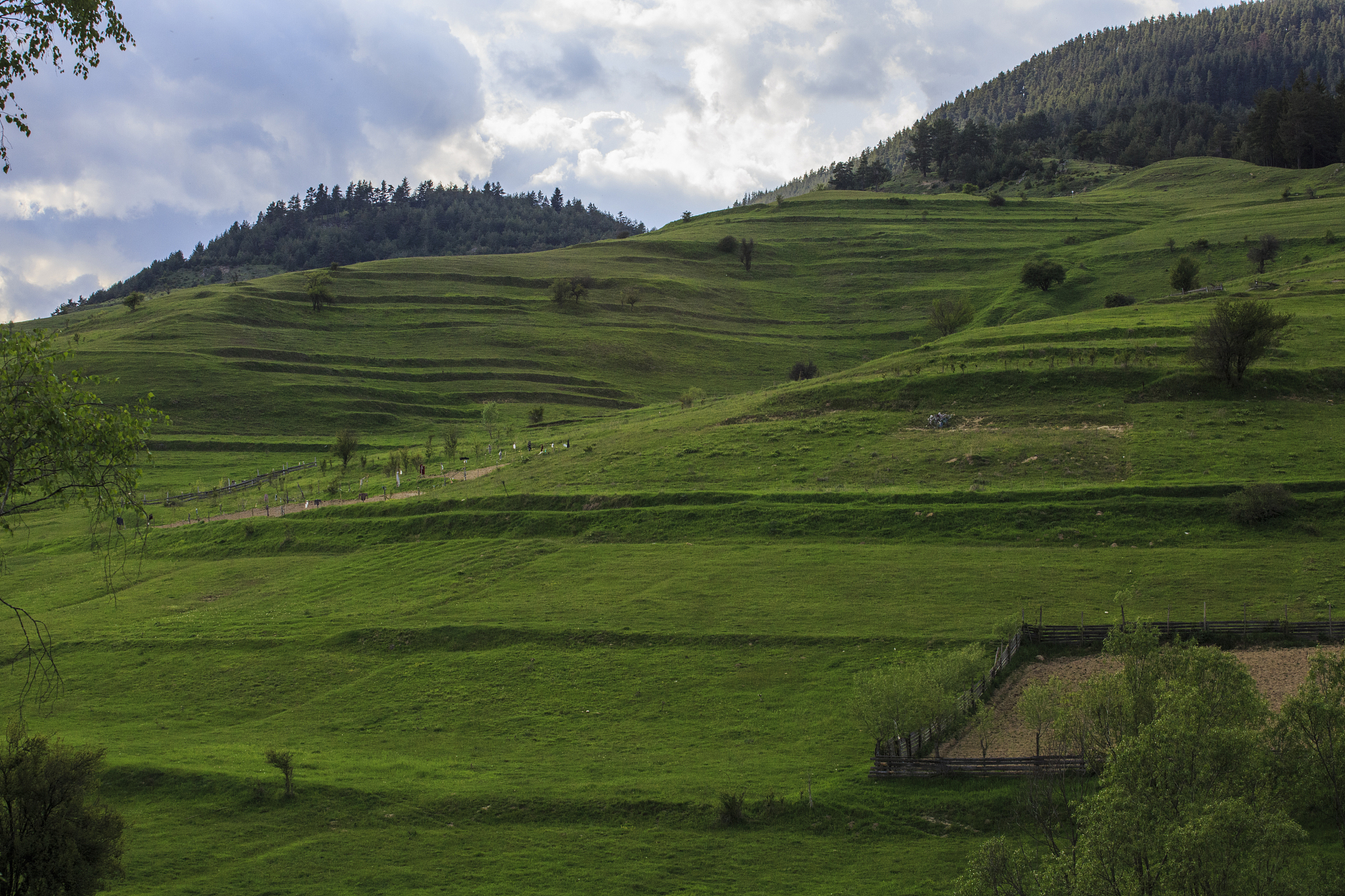 rhodope mountains, bulgaria in summer season