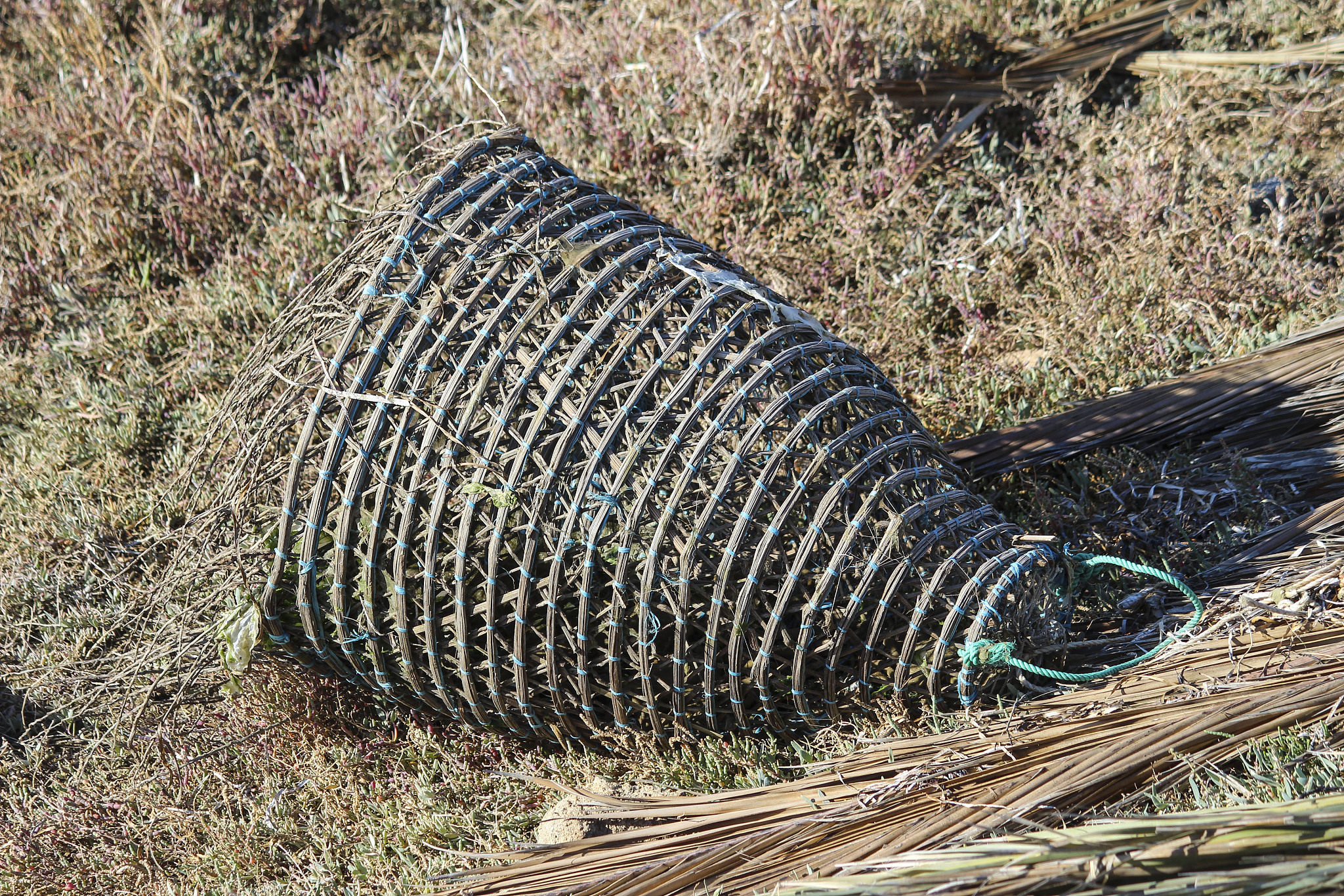 泊松分布：详解及应用场景