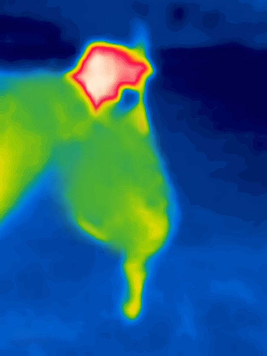 红外线波长范围及分类