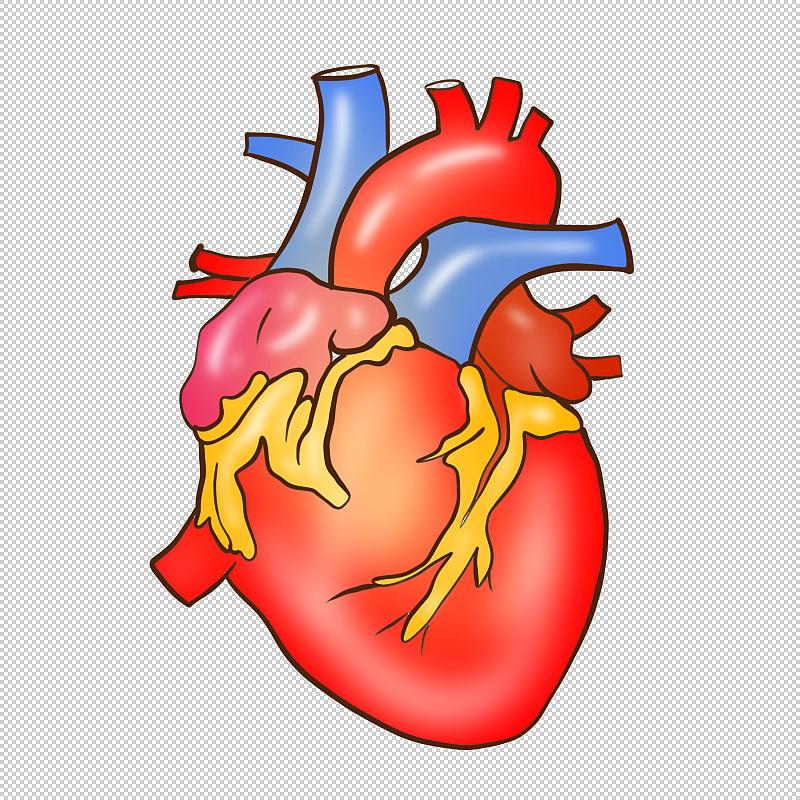 指标权重设置：如何构建准确可靠的综合评价体系