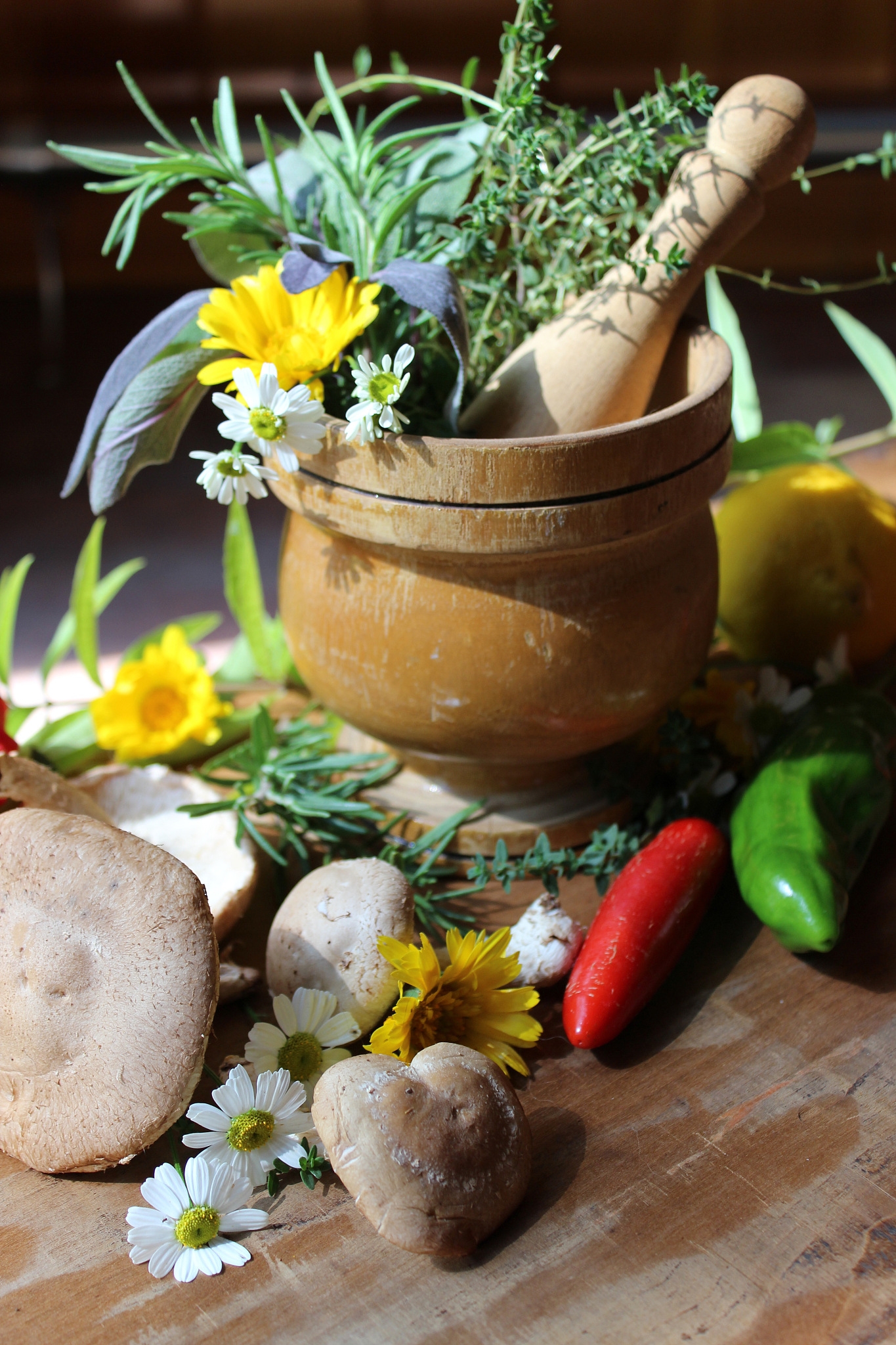 Lamellarins: Marine Alkaloids with Potential Therapeutic Applications