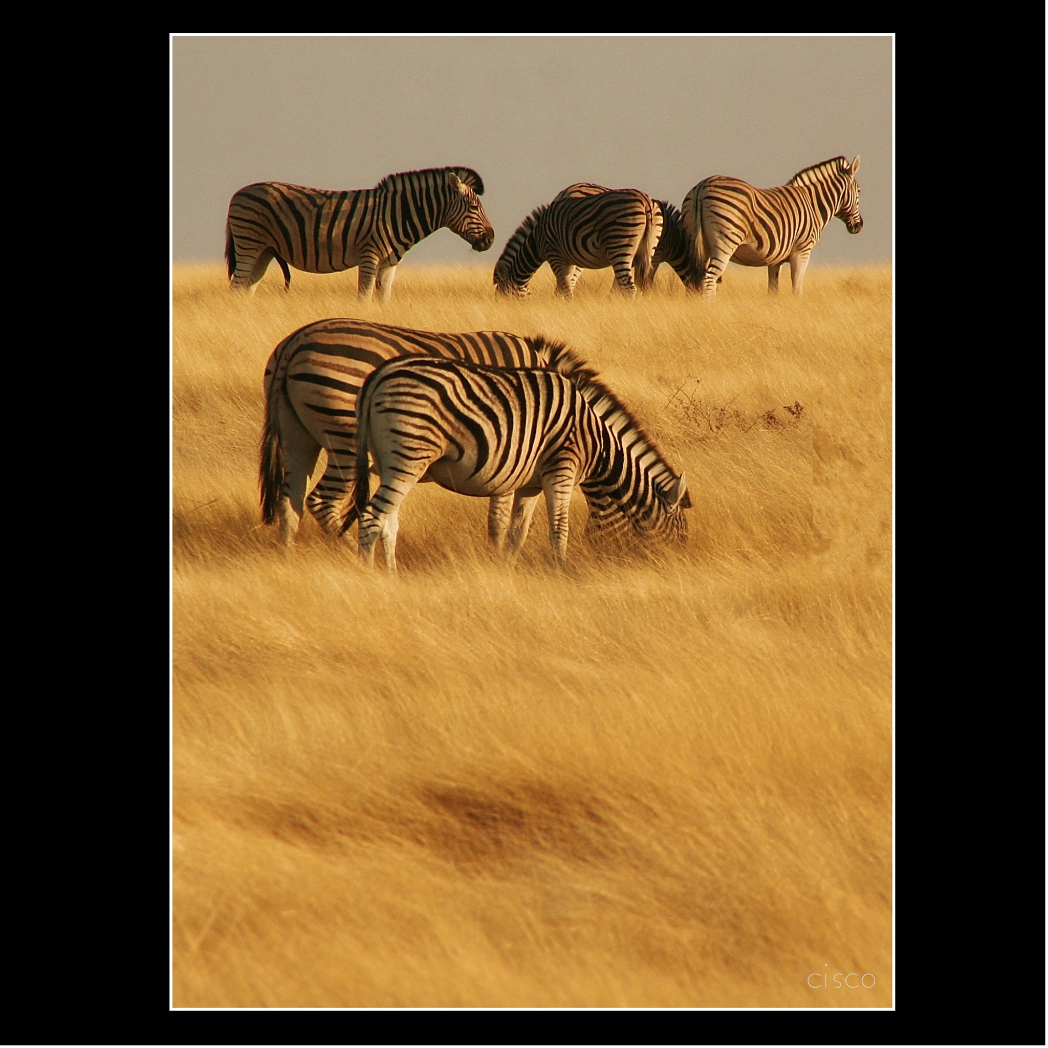 商丘卫生中等专业学校2023年招生专业有哪些？附热门专业解读！