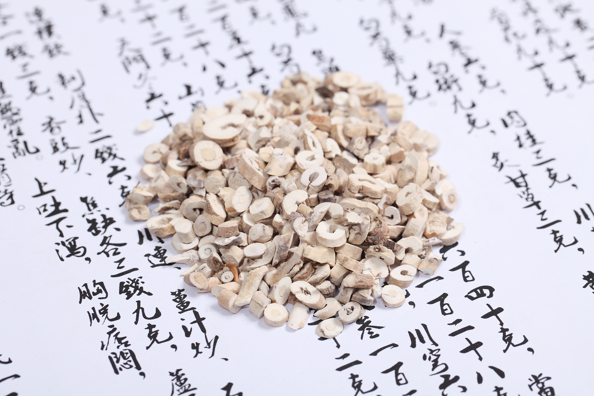 甘肃中医药大学报读指南：师资、教学、环境全方位解析